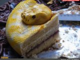 ترسناکترین کیک تولد