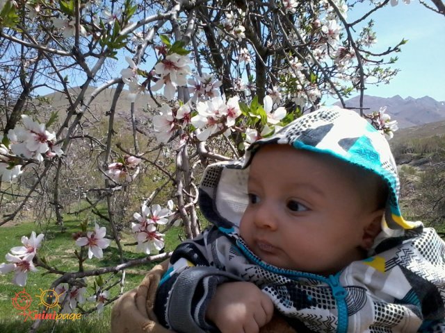 کیان در کنار شکوفه ها