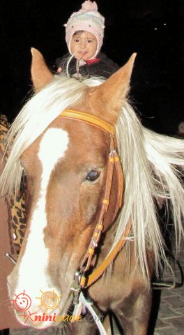 پرينازو اسب سوارى