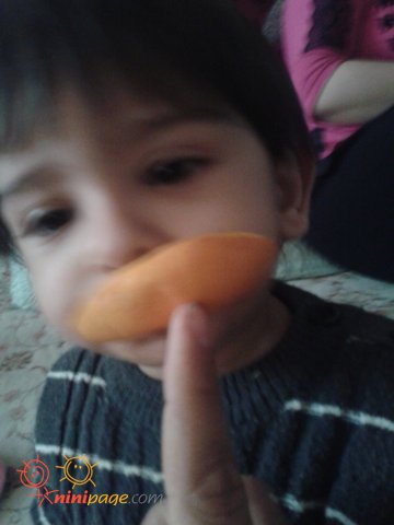 پرتقال خورون